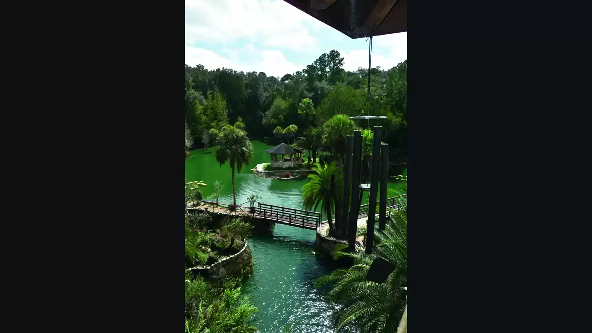 A tropical garden with a small bridge over an emerald green pond, surrounded by palm trees and lush vegetation.