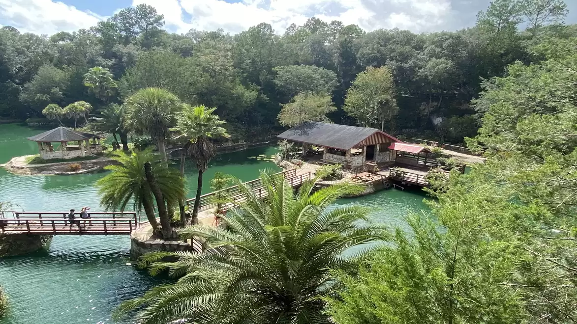 Tropical landscape with a bridge over an emerald green river, surrounded by lush greenery and palm trees.