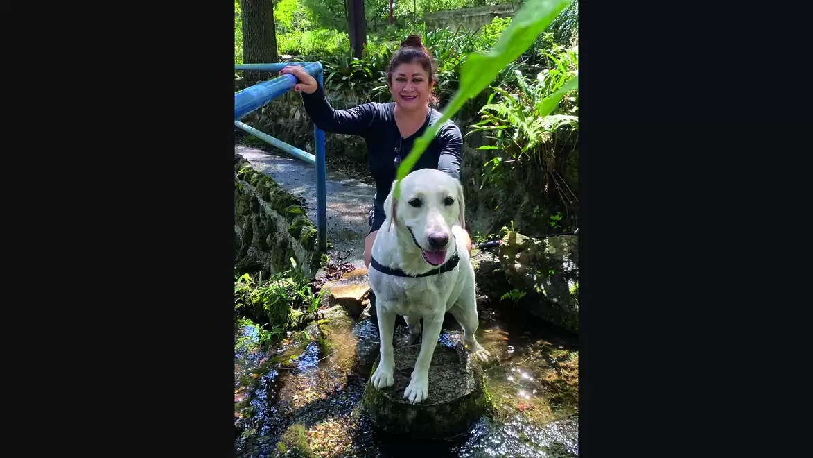 A woman in a forest with a dog Bella sitting on a rock in a stream.