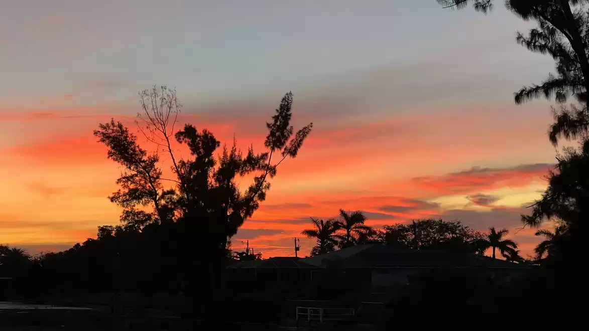 A beautiful sunset with vibrant orange hues in the sky, framed by dark silhouettes of trees.