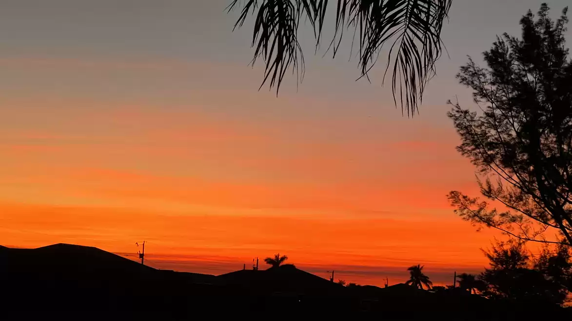 A stunning sunset sky with vibrant orange and red colors over the silhouette of trees and hills, with palm leaves visible in the foreground.