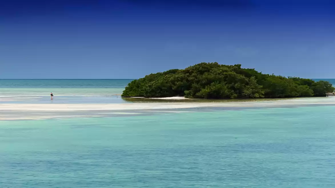 A solitary island in turquoise sea with lush greenery and a clear blue sky.