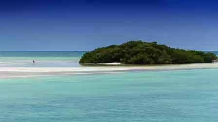 A solitary island in turquoise sea with lush greenery and a clear blue sky.