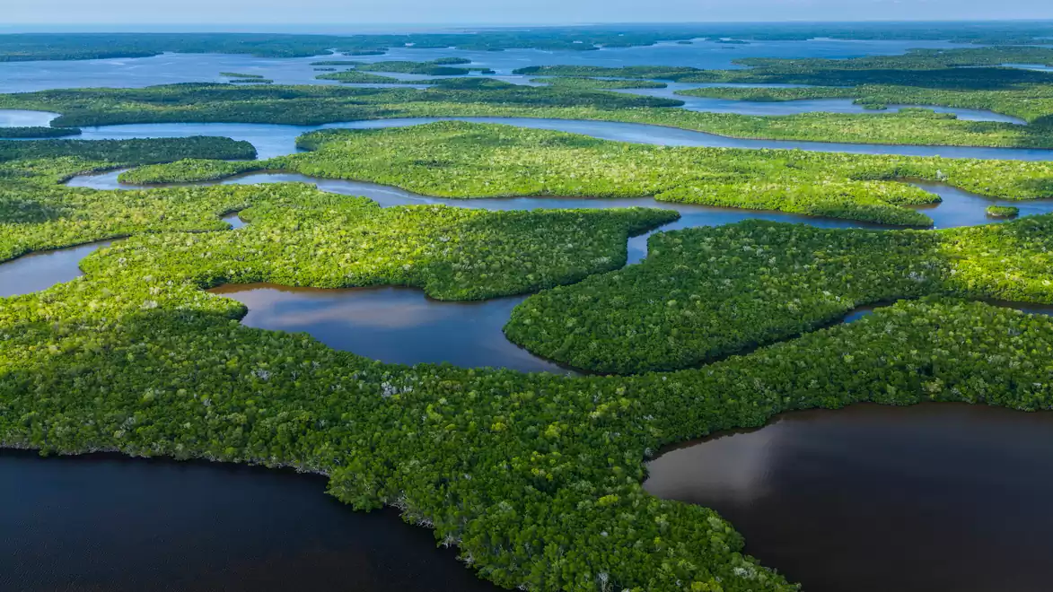 Aerial view of a green landscape with numerous waterways and small islands under a blue sky.