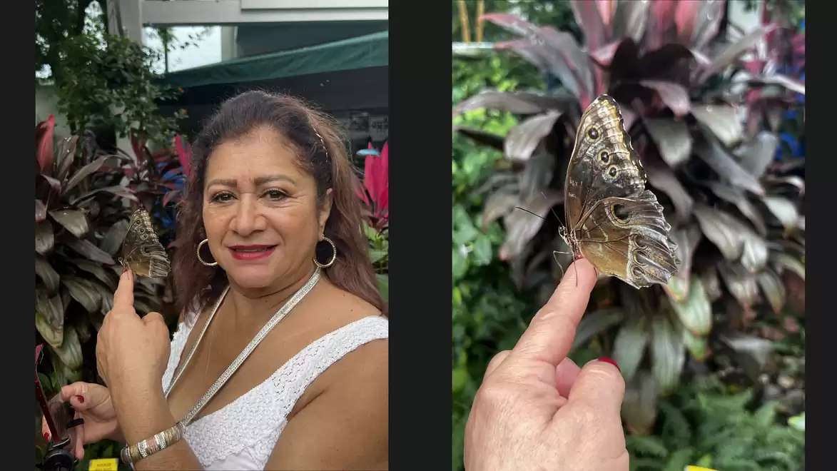 A woman with brown hair holds a large butterfly with a unique pattern on her finger, surrounded by lush vegetation.