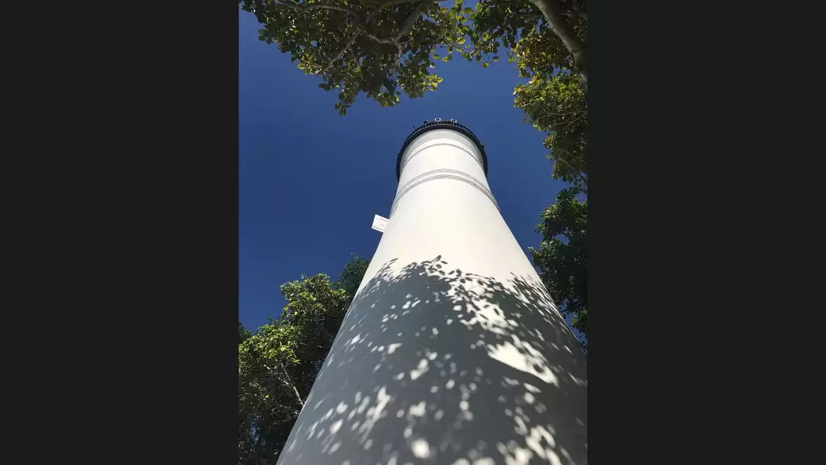 View from below of a white lighthouse surrounded by trees under a clear blue sky