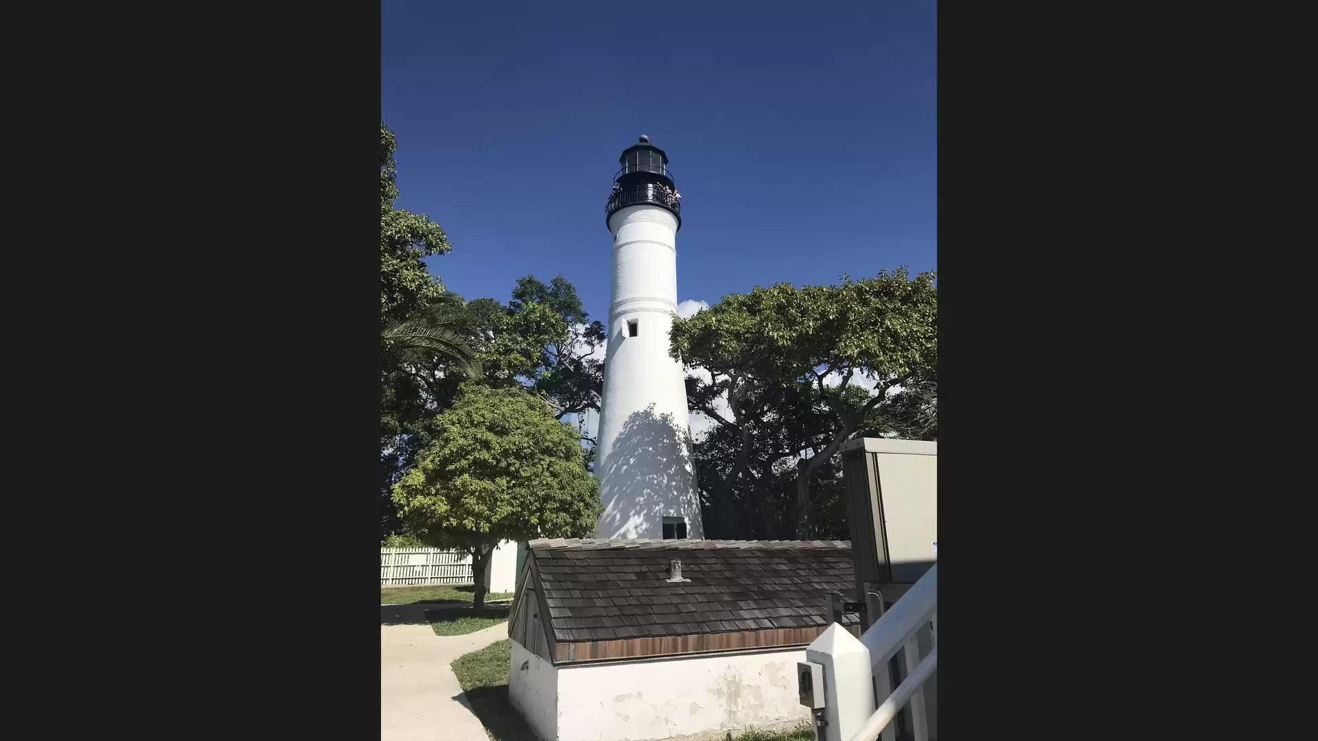 White lighthouse surrounded by trees under a blue sky