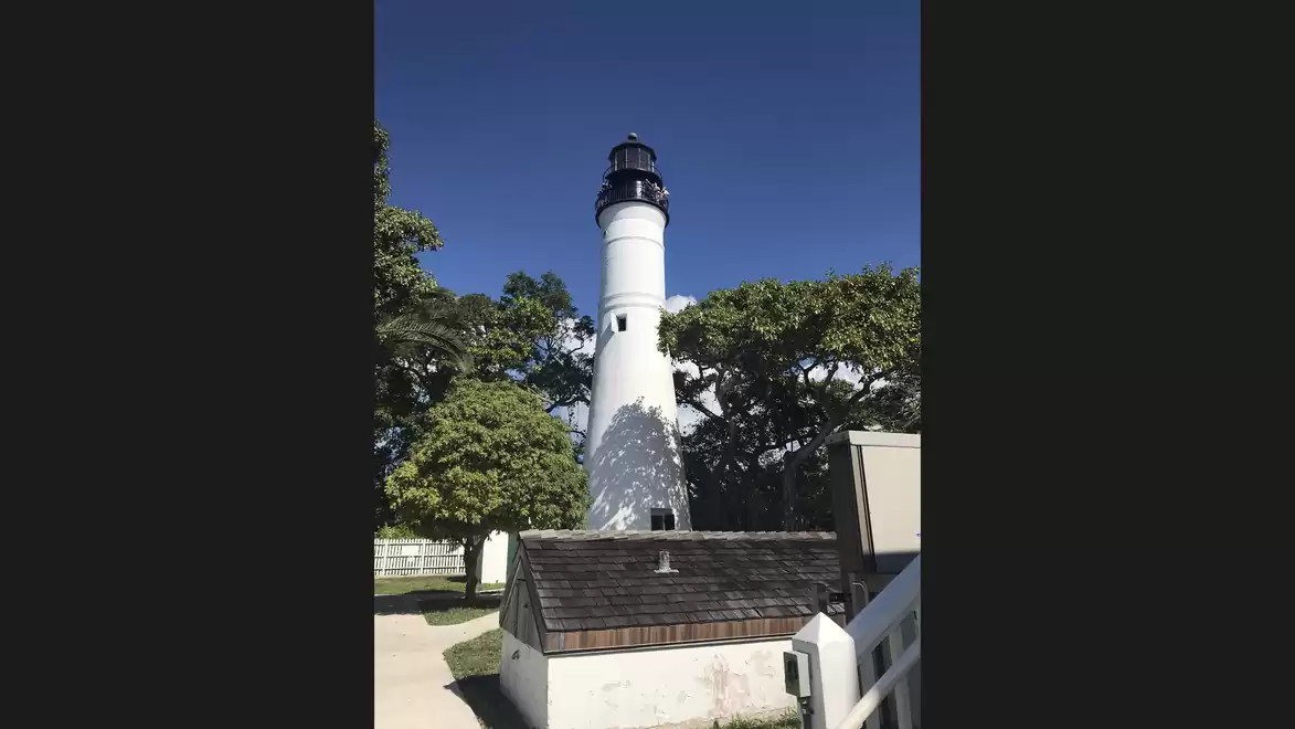 White lighthouse surrounded by trees under a blue sky