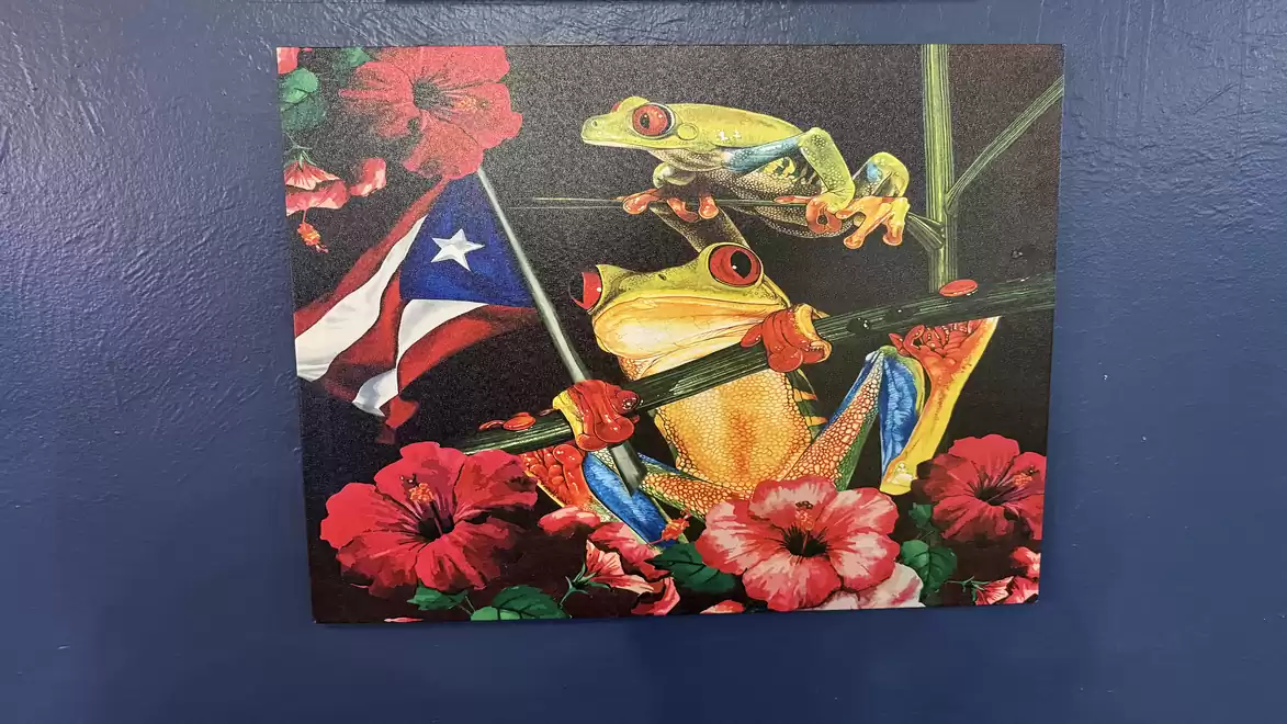 Image of a colorful scene with two tree frogs, surrounded by red hibiscus flowers and a Puerto Rican flag.