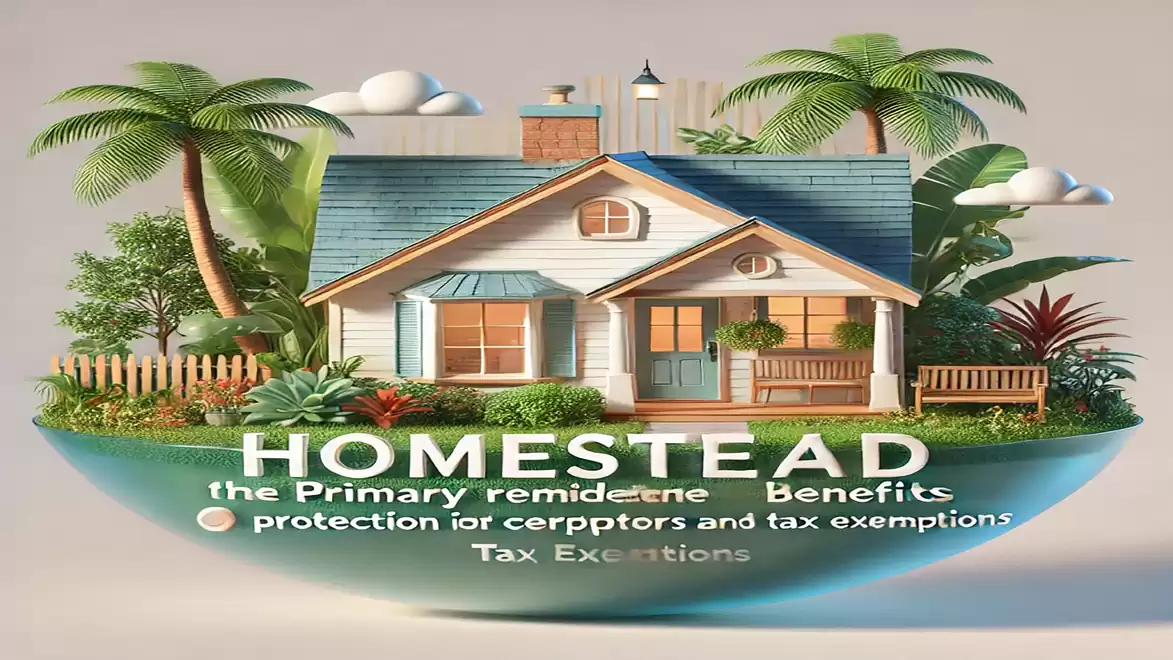 Illustration of a small single-family house on a green lawn, surrounded by palm trees and plants, with the text 'Homestead - the primary residence benefits'.