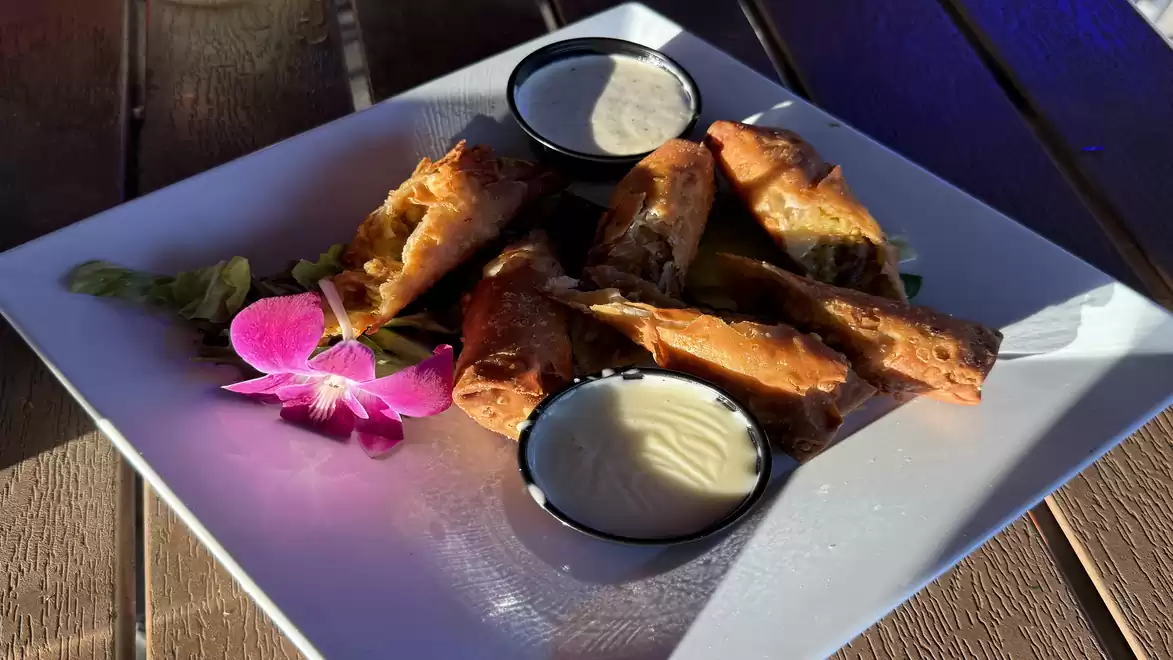 Close-up of a plate with spring rolls and two dips, garnished with a pink flower on a white plate.