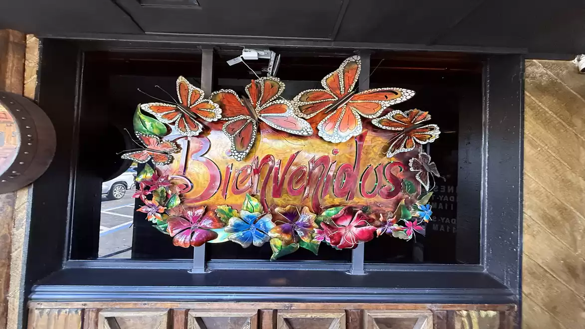 Colorful decorated sign with butterflies and the inscription 'Bienvenidos' in front of a window.