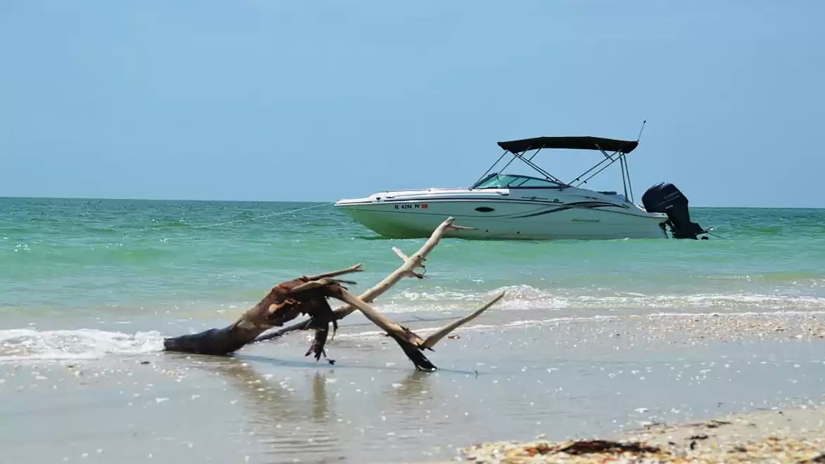 A boat anchored in clear turquoise water near a sandy beach with driftwood in the foreground.