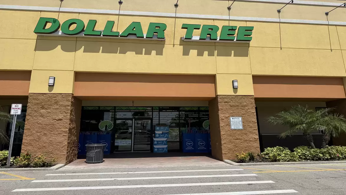 Exterior view of a Dollar Tree store on a sunny day with a clearly visible brand logo.