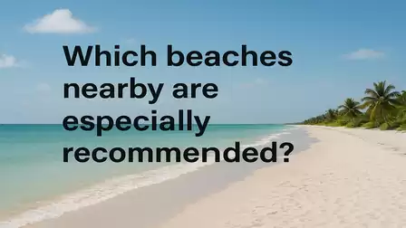 An idyllic sandy beach with palm trees under a clear blue sky. In the foreground, there is text: 'Which beaches nearby are especially recommended?'