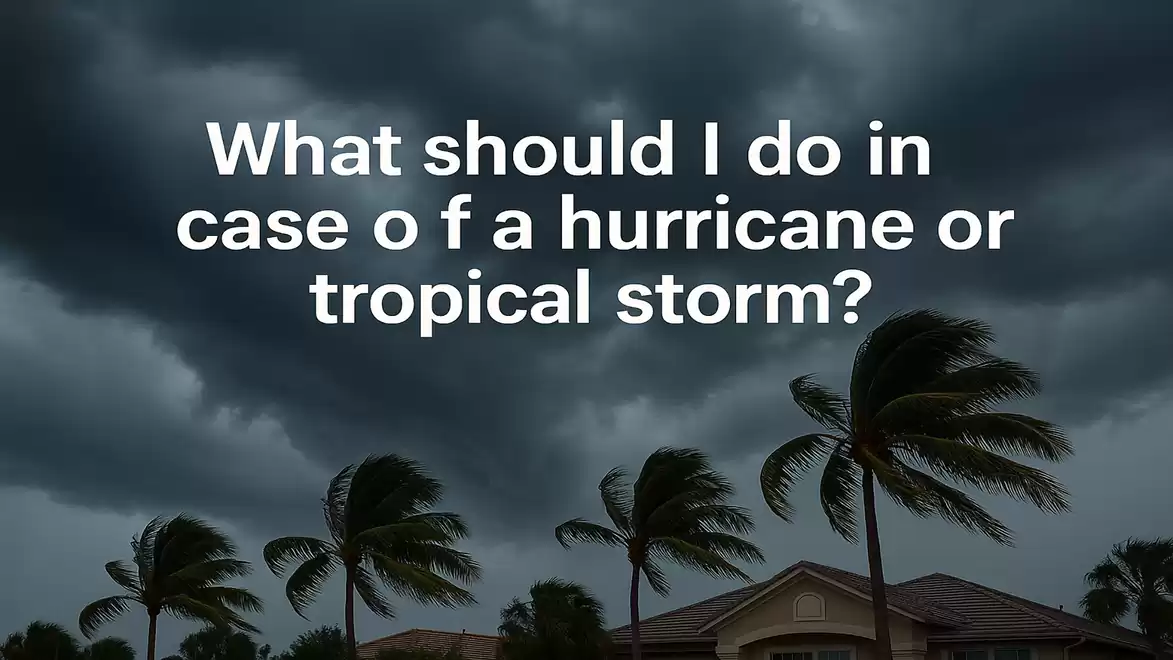 Storm clouds and palm trees in front of an approaching hurricane or tropical storm with the text 'What should I do in case of a hurricane or tropical storm?'