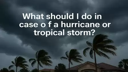 Storm clouds and palm trees in front of an approaching hurricane or tropical storm with the text 'What should I do in case of a hurricane or tropical storm?'