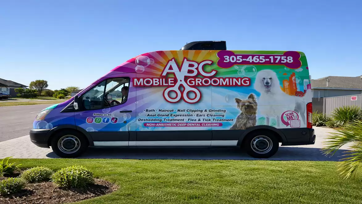 A colorful van with the words 'ABC Mobile Grooming' and images of two dogs, a contact number, and a rainbow background.
