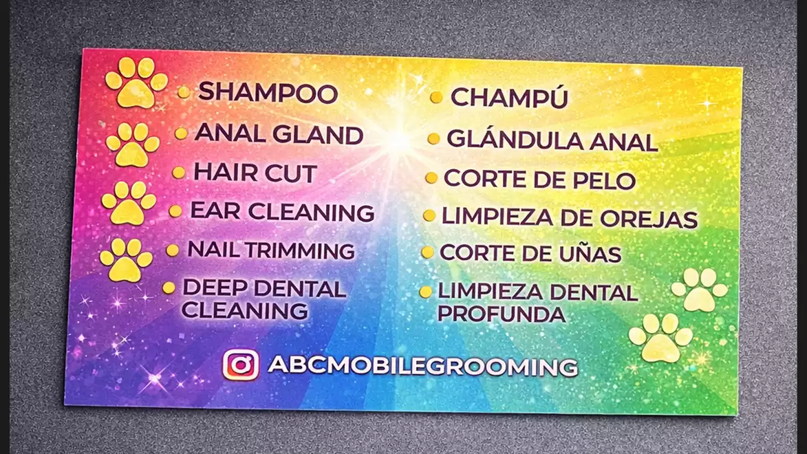 Colorful poster for mobile pet grooming services including shampoo, anal gland, haircut, ear cleaning, nail trimming, and deep dental cleaning.