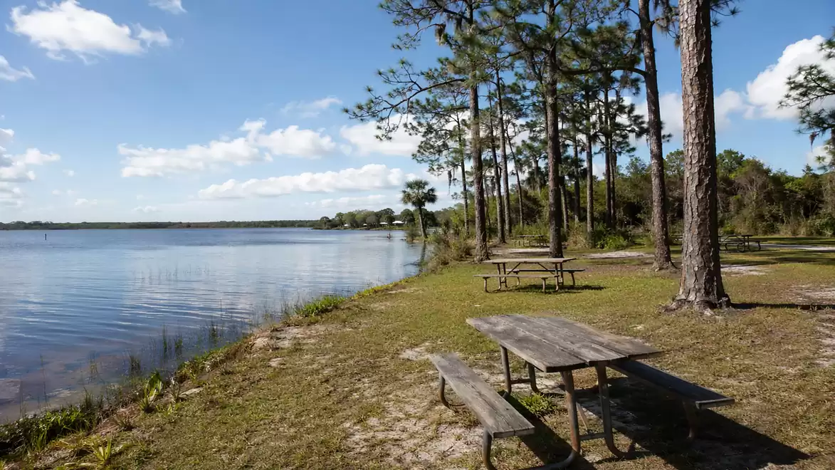 A peaceful lake with a picnic area in the foreground and trees in the background under a clear blue sky.