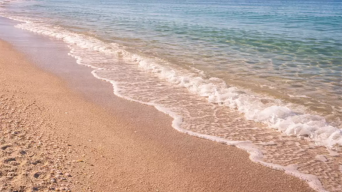 A tranquil sandy beach with gentle waves under a clear blue sky.