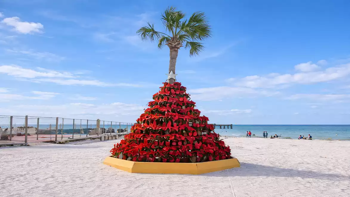 An unusual pyramid of red poinsettias topped with a palm tree stands on a sunny beach with a blue sky.