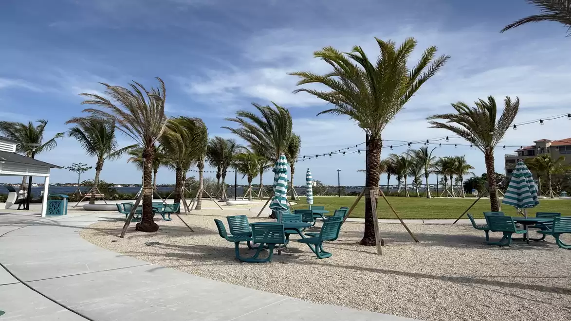 A beach area with palm trees, green tables and chairs under a clear blue sky.