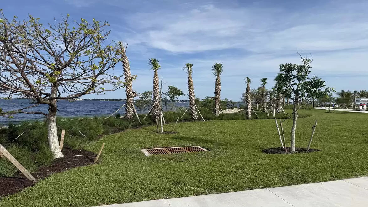 Landscape with palm trees and sea in the background, blue sky, green lawn.