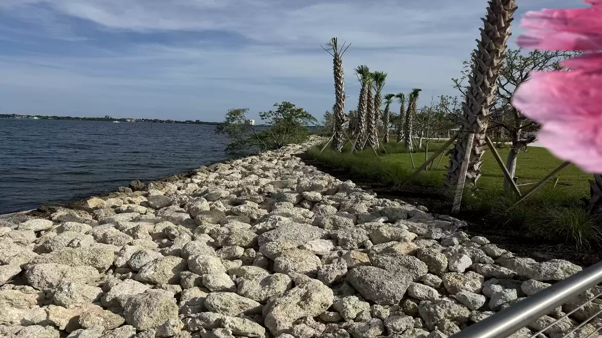 A rocky coastal path lined with palm trees running alongside the water. A pink flower is visible in the foreground.