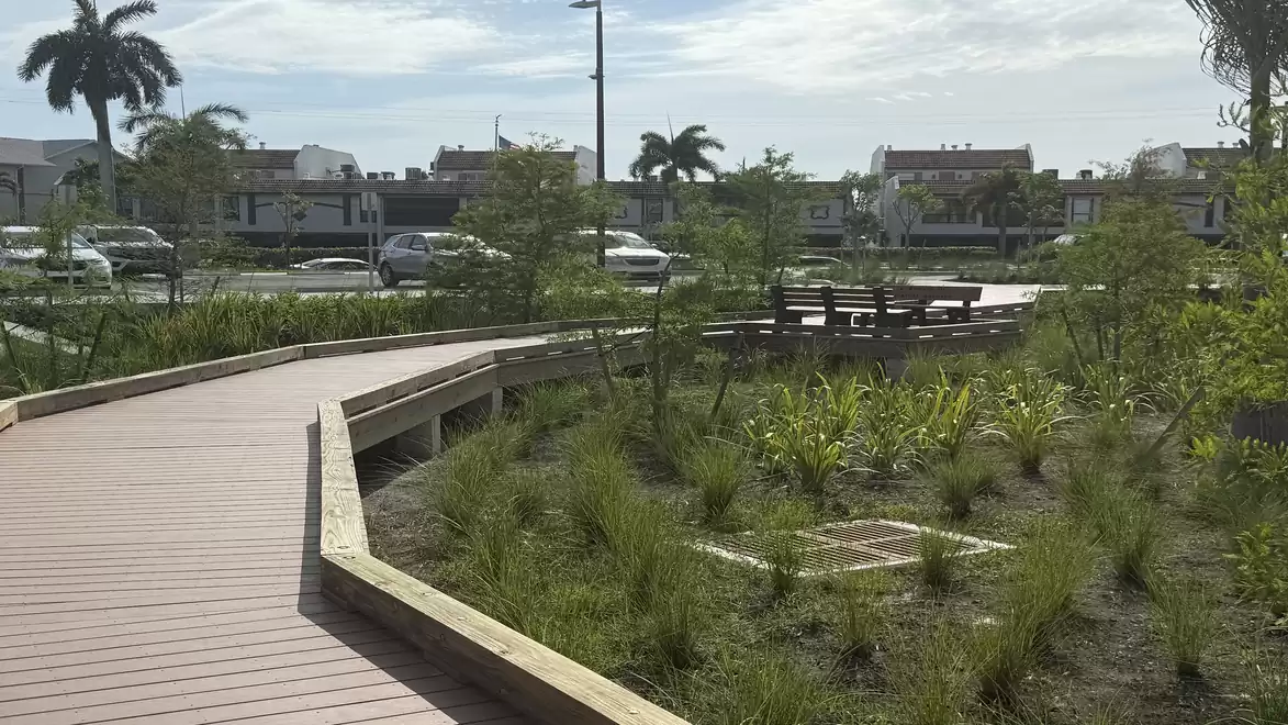 Sunny park boardwalk with palm trees and greenery.
