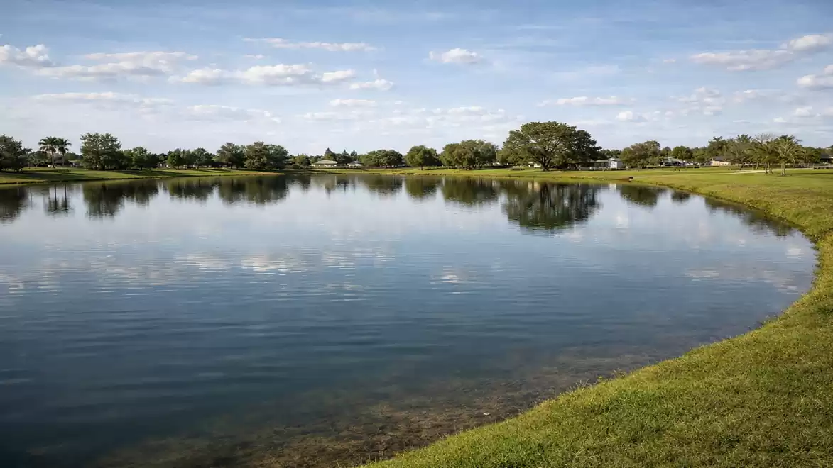 A calm lake with clear sky, surrounded by green landscape.