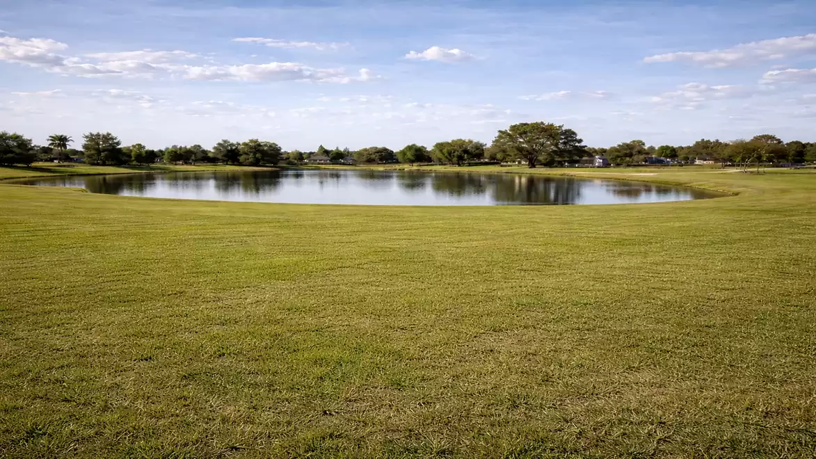A peaceful lake surrounded by a vast, green meadow under a clear blue sky.