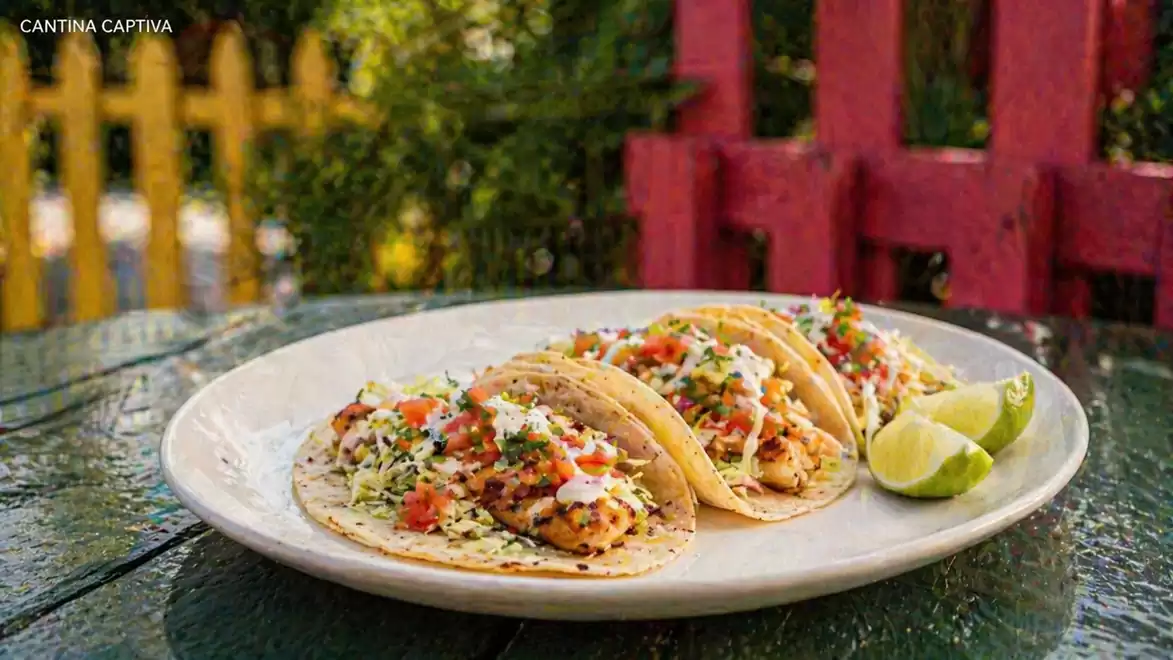 A plate of four tacos filled with chicken on a rustic, green outdoor table. Colorful wooden fences and lime wedges in the background.