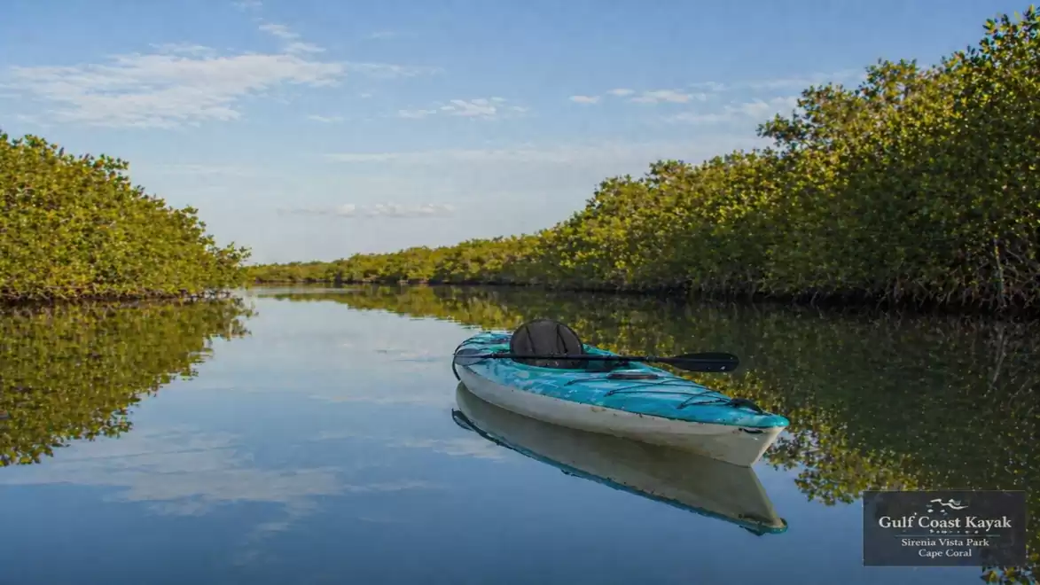 A kayak floats peacefully on a calm river, surrounded by lush green mangrove forest under a clear blue sky.