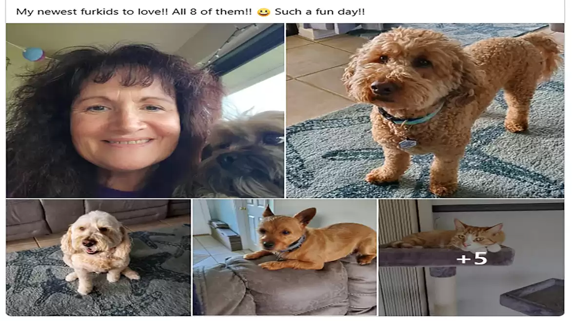 Collage featuring several pets and a woman holding one of the pets. Various dogs and a cat are pictured in the image. The animals appear to be relaxed and happy.