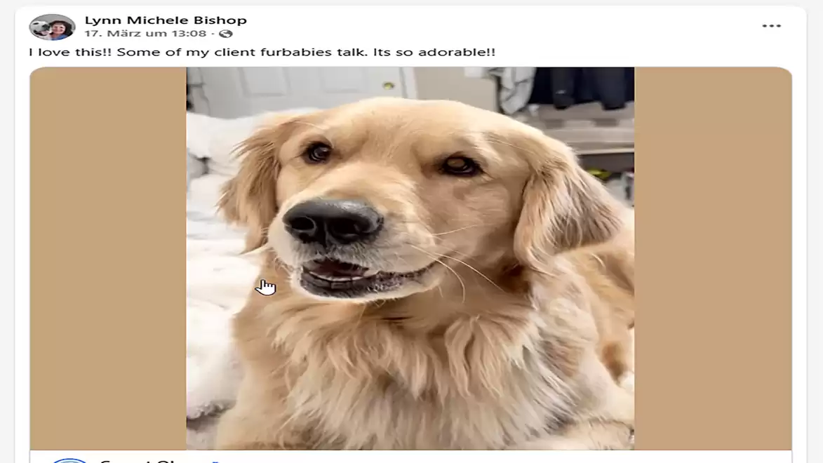 A friendly golden retriever looks into the camera with an attentive expression while standing in a cozy room.
