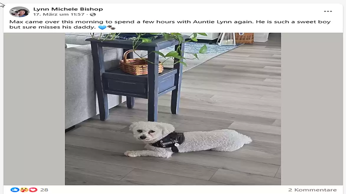 A small white dog is lying on a wooden floor next to a blue side table with a plant on it.