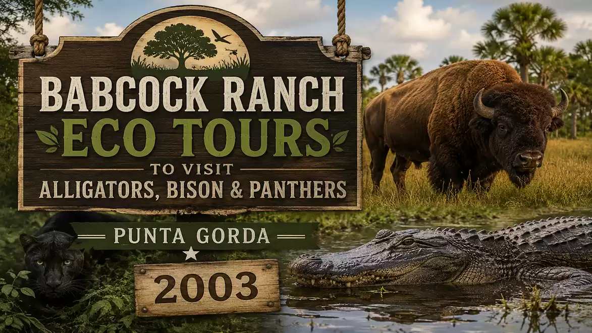 An advertisement poster for Babcock Ranch Eco Tours features a bison and an alligator in a natural setting with palm trees in the background. Text reads: 'Babcock Ranch Eco Tours to visit Alligators, Bison & Panthers – Punta Gorda 2003'.