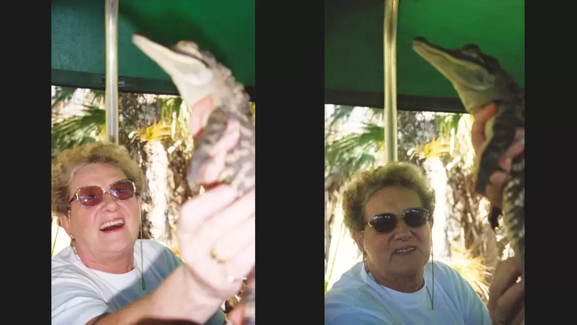 A person wearing sunglasses holds a small crocodile under a green roof. Palm trees are visible in the background.