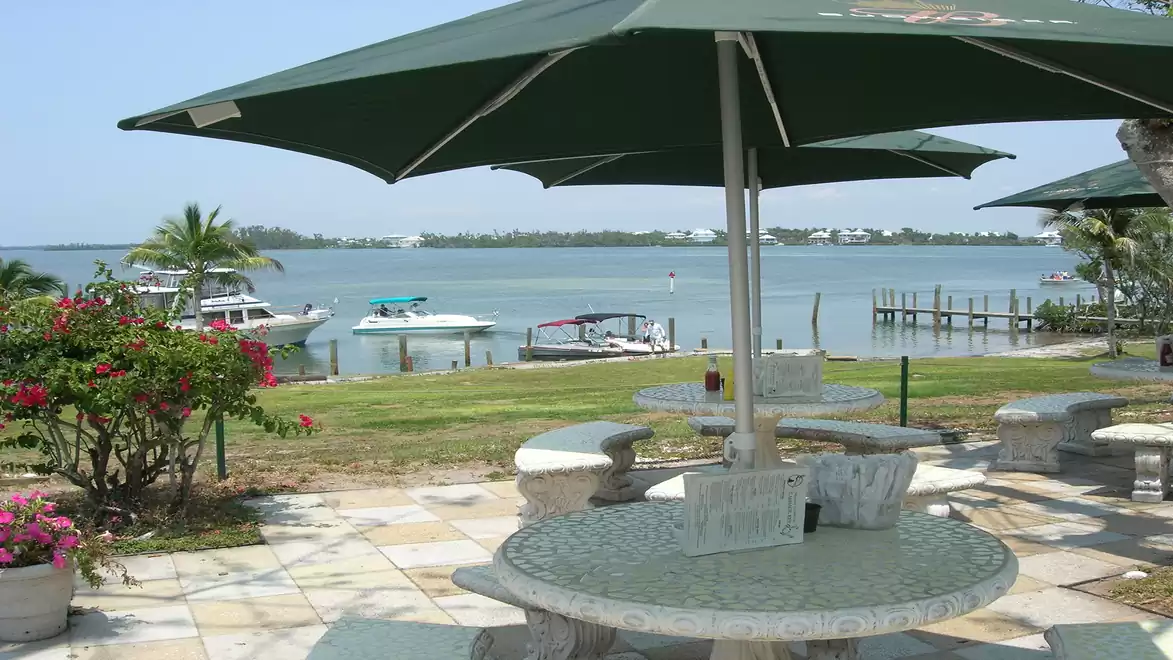 An outdoor area with stone tables and green umbrellas overlooking a calm lake. Boats and a palm tree can be seen in the background.