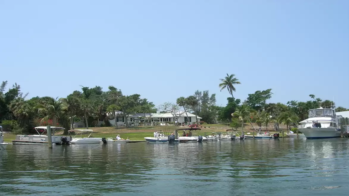 Panoramic view of a calm harbor with various boats surrounded by green trees and palm trees.