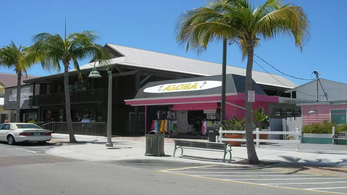 Street scene with a store named 'Aloha' on a sunny corner, surrounded by palm trees.