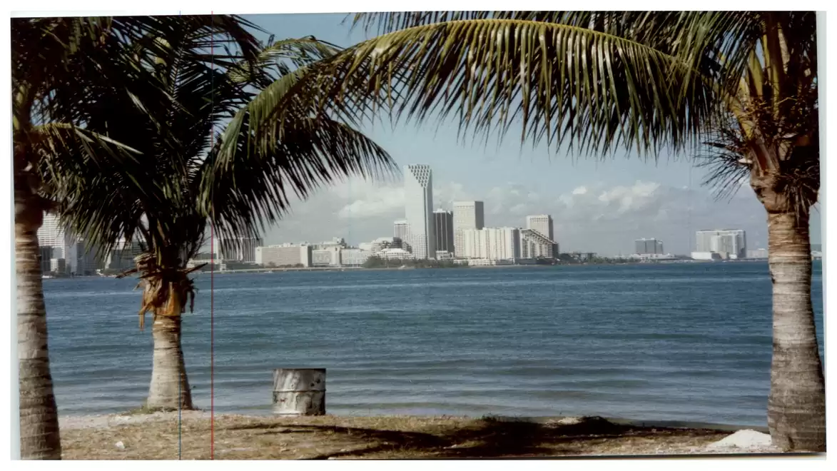 Panoramic view of a coastal city with modern skyscrapers behind palm trees. Calm blue water in the foreground.