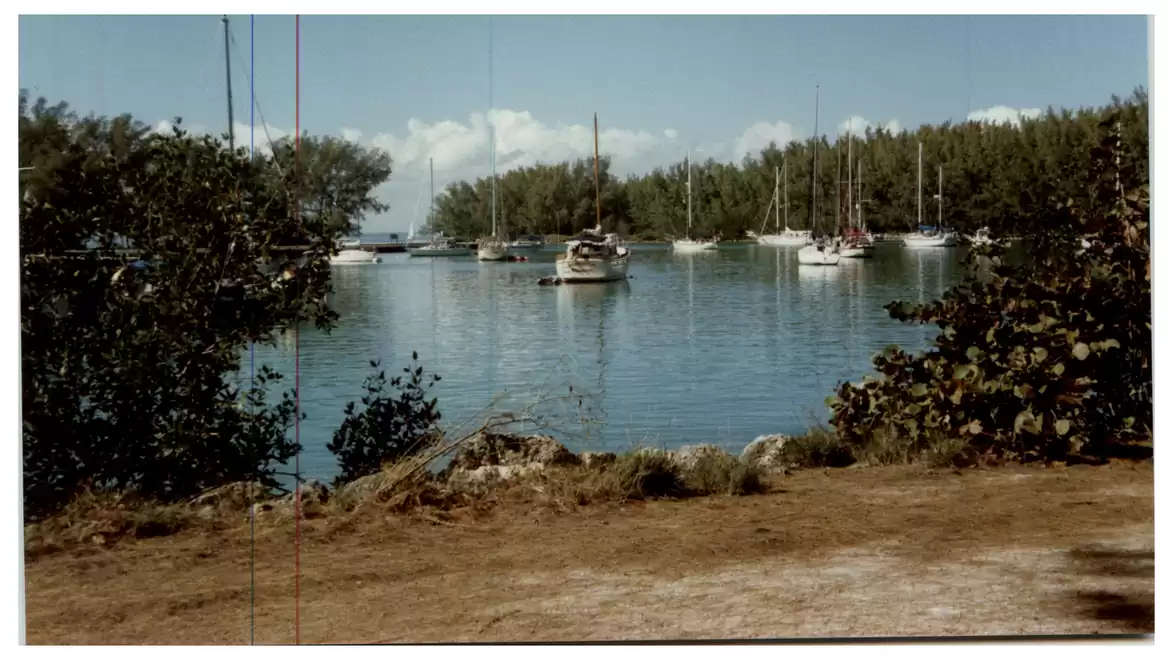 A tranquil harbor with several sailboats anchored on the water, surrounded by dense green vegetation and a clear sky.