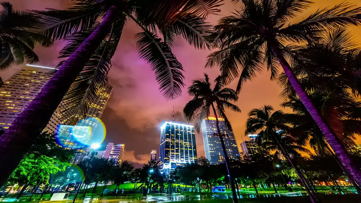 Urban skyline at night with illuminated skyscrapers and palm trees in the foreground.