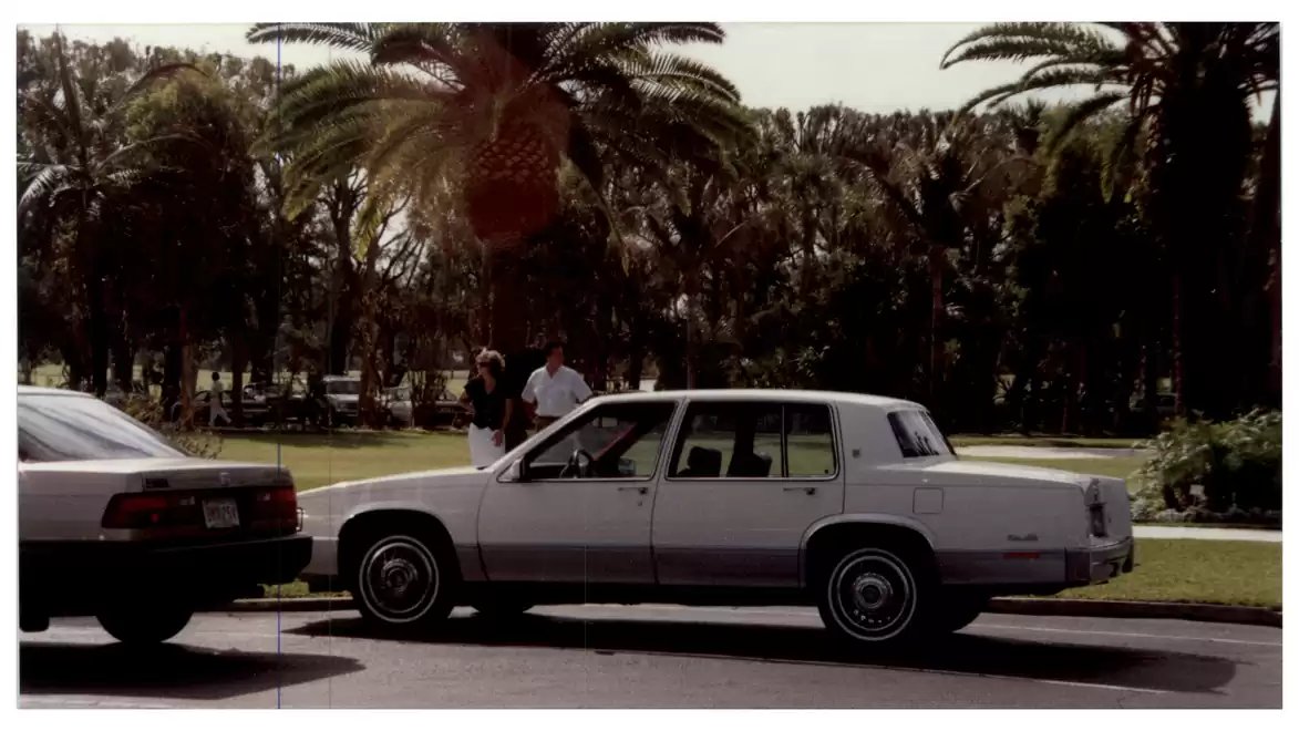 A white car is parked on a street, with palm trees and people in the background.