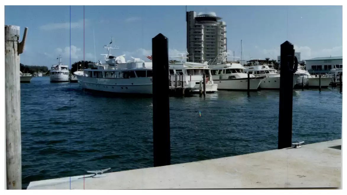 Several yachts in the harbor with a high-rise building in the background.