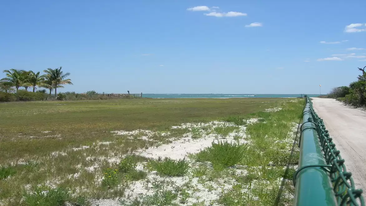 Panoramic view of a coastal landscape with a green field, palm trees, and a clear sky on a sunny day.