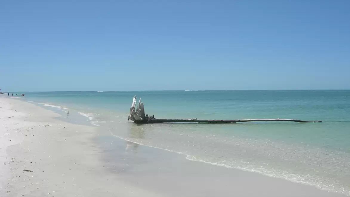 A scenic, deserted beach with white sand and calm turquoise water under a clear blue sky. A single piece of driftwood lies on the shore.