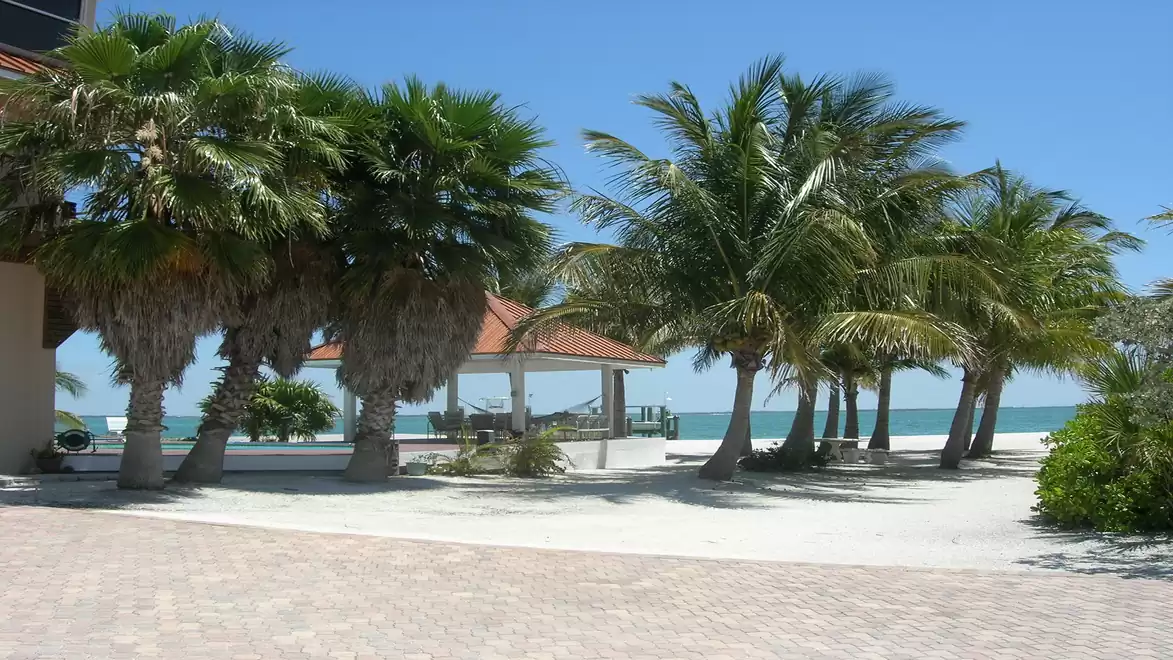 A sunny beach with palm trees and a pavilion in the background. The sky is clear and blue, creating a relaxed and tropical atmosphere.